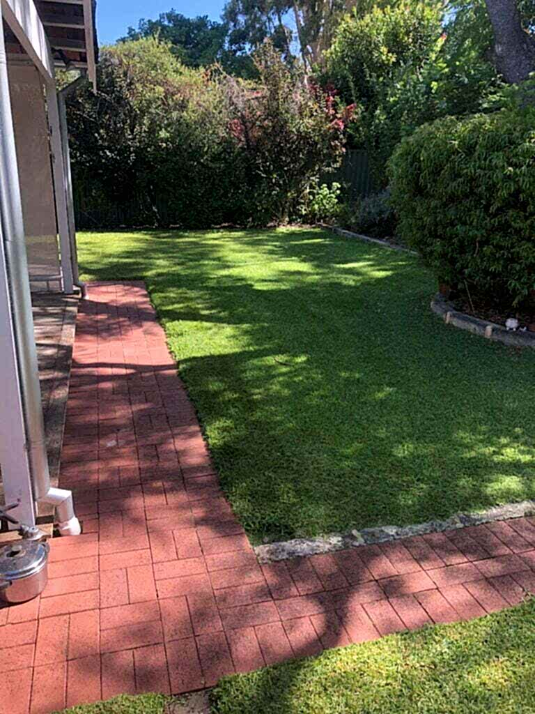 Green lawn that has been fertilised